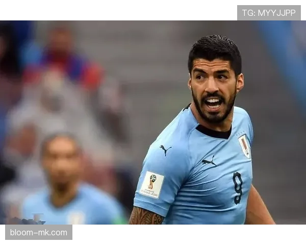 乌拉圭青训体系持续引发关注，年轻球员展现潜力表现稳健